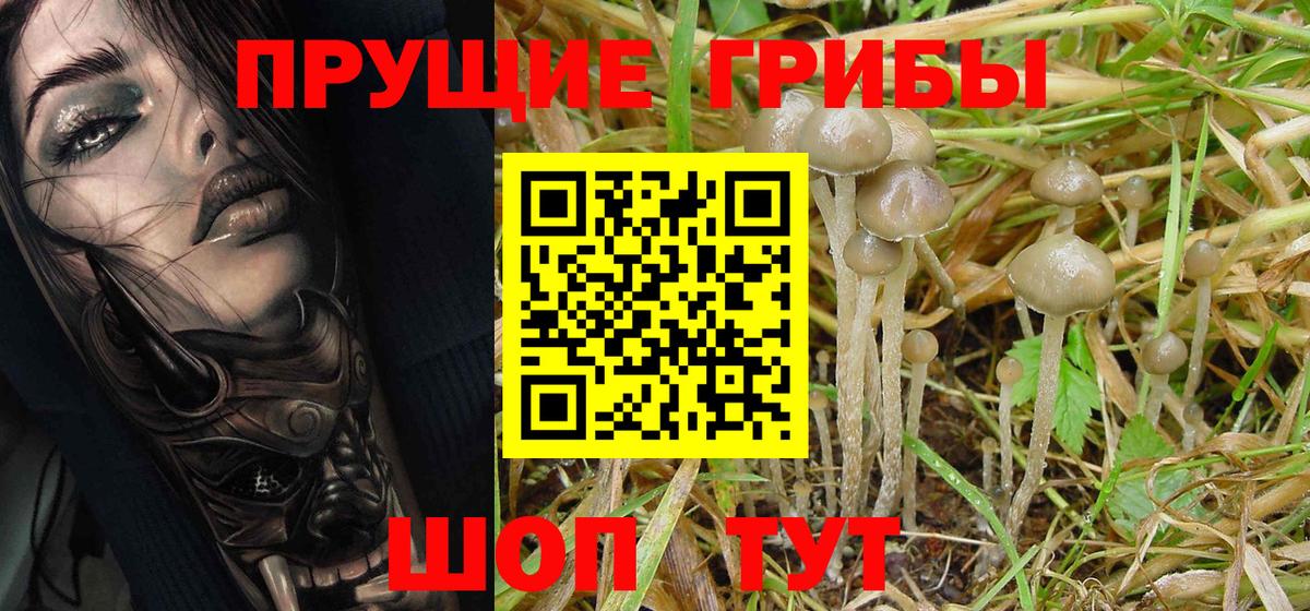 Псилоцибиновые грибы Magic Shrooms  Вход с VPN  Галлюциногенные грибы мухоморы  Артёмовский 